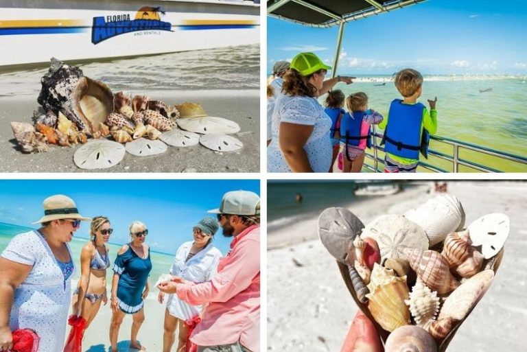 50 Fun Things To Do In Naples Florida TourScanner