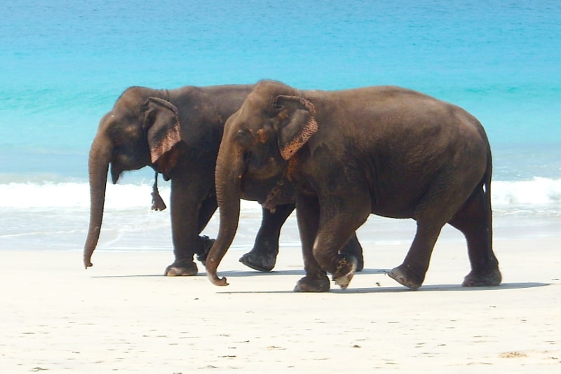 Andaman & Nicobar islands - paradise islands you should visit Andaman & Nicobar islands - paradise islands you should visit