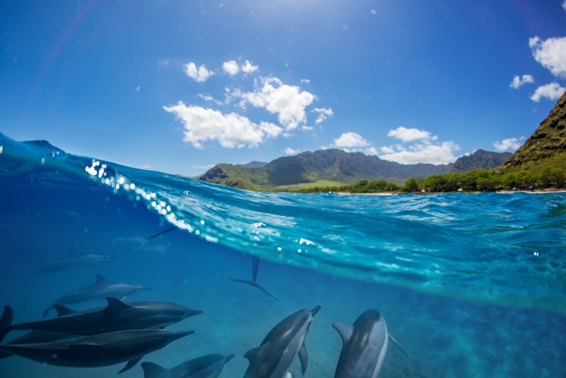 Isola Reunion - Isole paradisiache 