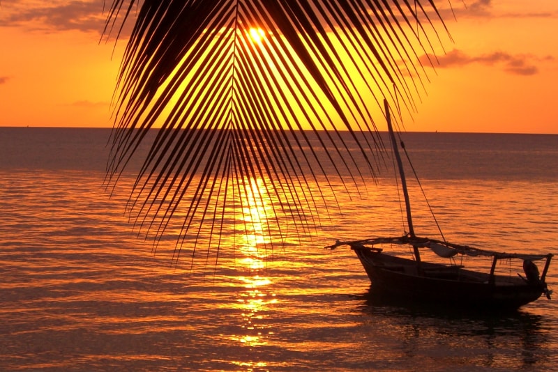 Îles Zanzibar - Îles paradisiaques 