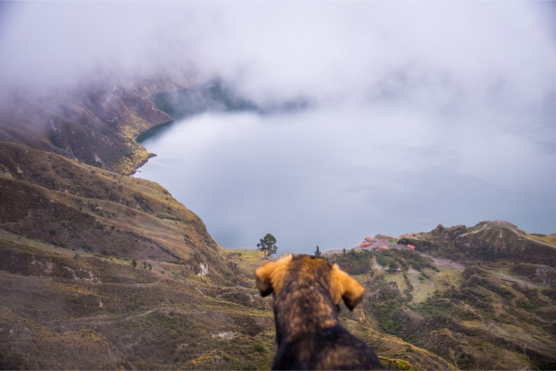 Dog Quilotoa Loop - Hiking Trails 