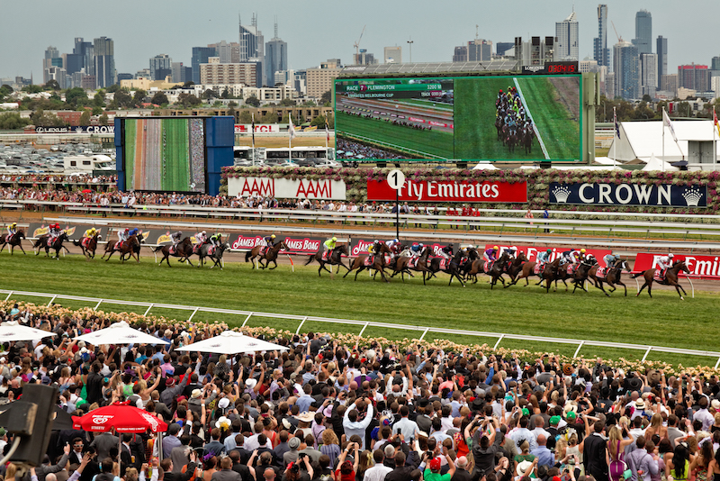 Melbourne Horse Cup - Fun things to do in Australia