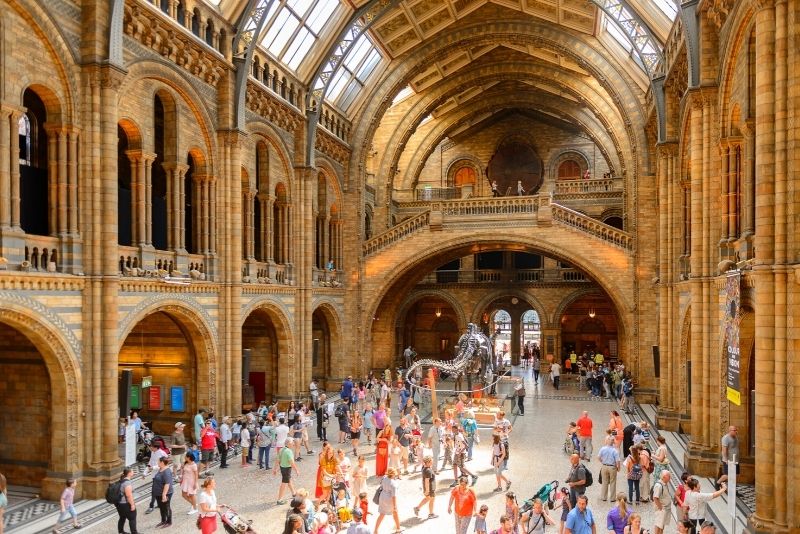 national history museum london tour