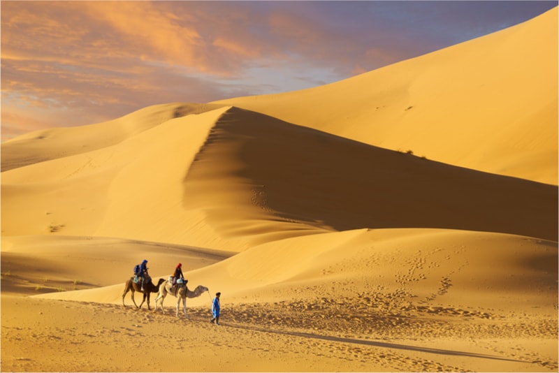 Sahara - 14 Treks Sensationnels dont vous n’avez Sûrement Jamais Entendu Parler