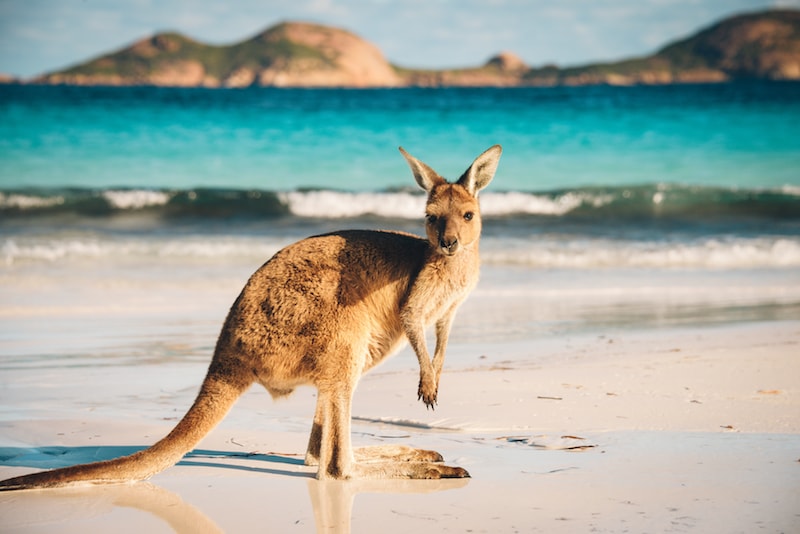 52-fun-things-to-do-in-australia-cool-unusual-activities