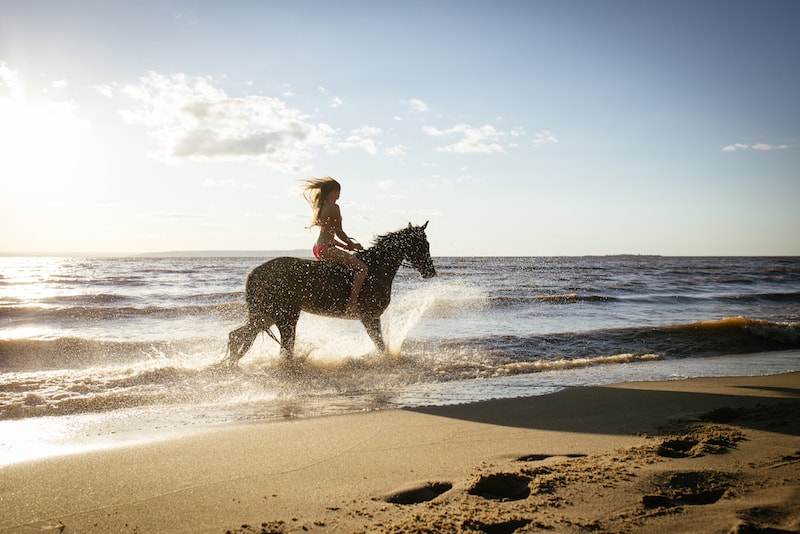Ride a horse at Mornington Peninsula - Fun things to do in Australia