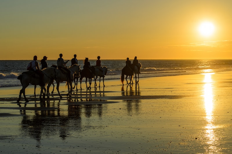 Horse Riding - Cose da Fare, Vedere e Mangiare in Australia