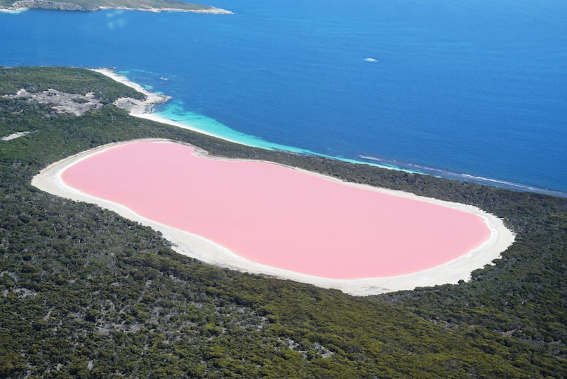 Visit Middle Island and discover the pink Lake Hillier - Fun things to do in Australia