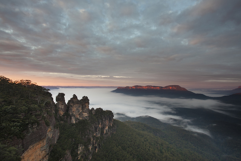 Le parc national des montagnes bleues - Que faire en Australie