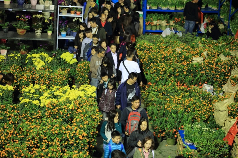 Marché aux fleurs - Choses à faire à Hong Kong