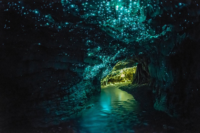 Glowworm Cave in New Zealand - Bucket List ideas
