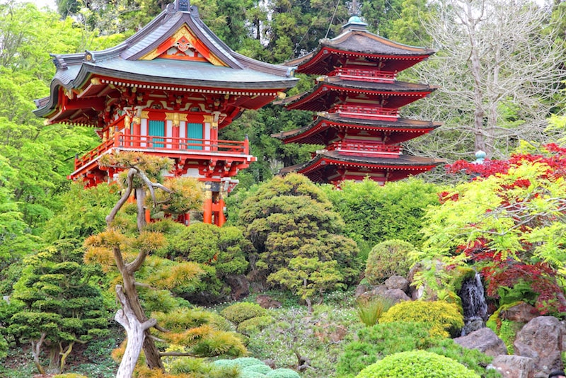 Le Japanese Tea Garden - Choses à faire à San Francisco