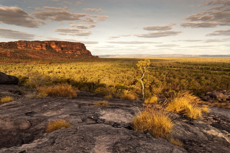 Kakadu National Park - Que faire en Australie