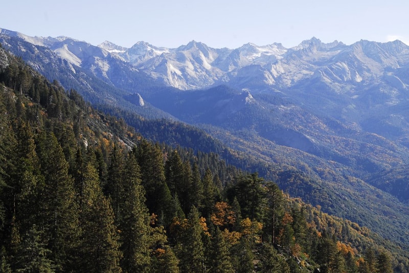 Sequoia National Park in California - Bucket List ideas