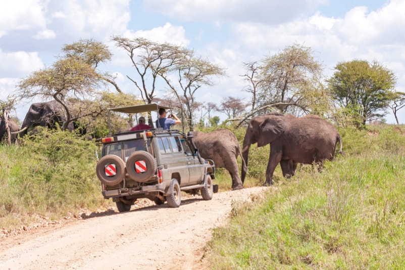 Serengeti national Park in Tanzania - Bucket List ideas