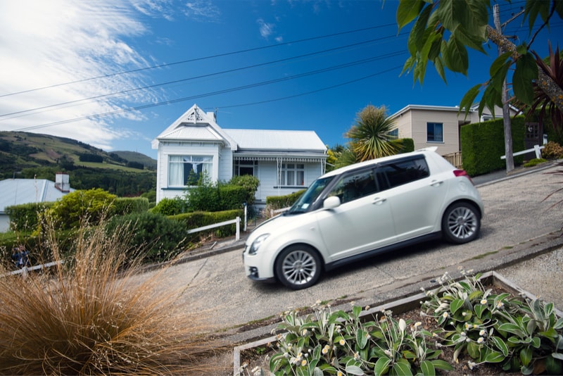 Baldwin street the steepest street - Fun things to do in New Zealand 