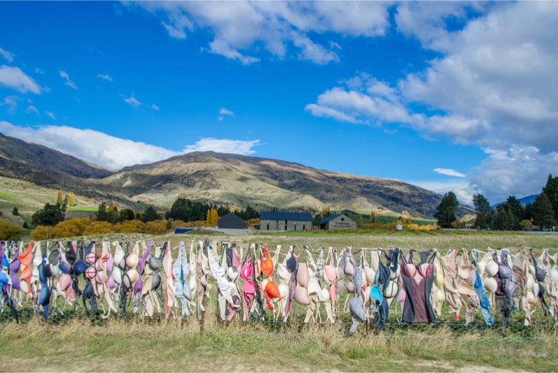 Cardrona Bra Fence - Fun things to do in New Zealand 