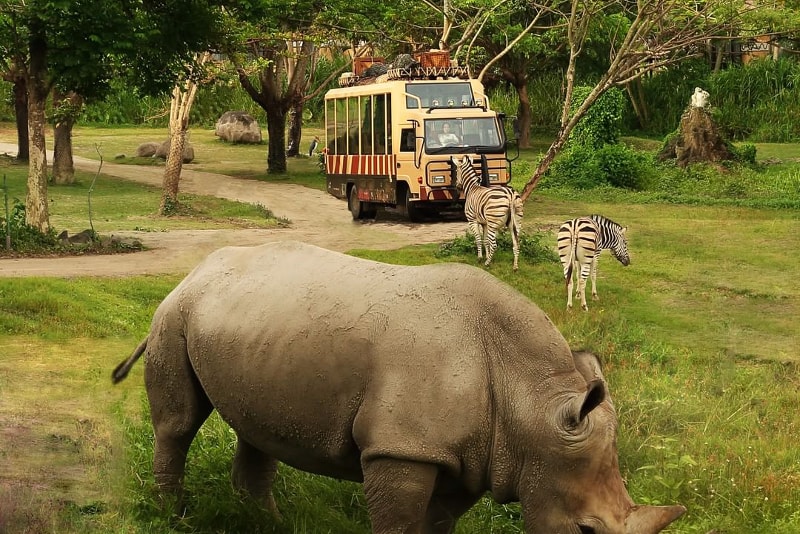 Marine and Safari Park - Devdan - Choses à faire à Bali