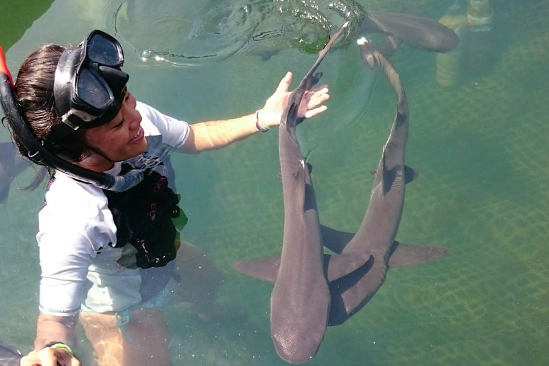 Nadar con tiburones - Cosas divertidas para hacer en Bali