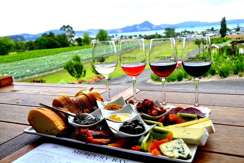 New Zealand's wine - Fun things to do in New Zealand 