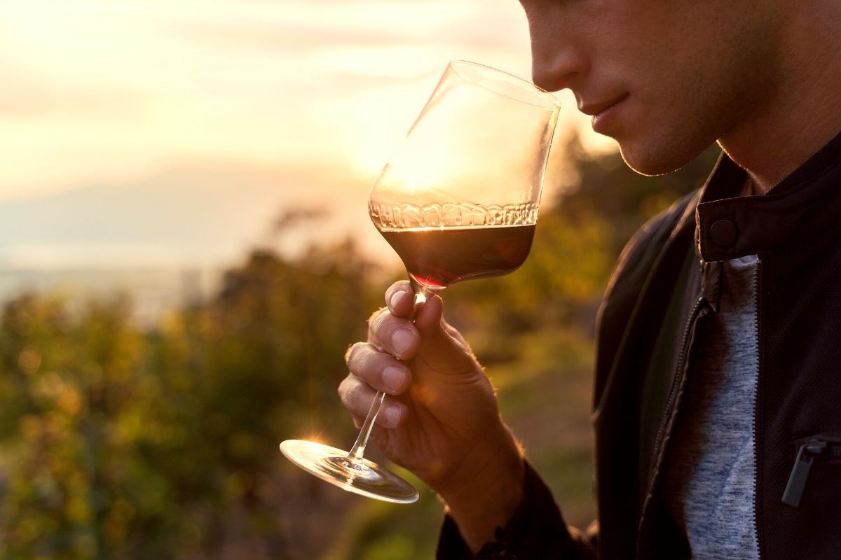 wine tasting in New Zealand