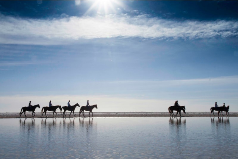 Horse Riding Beach - Things to Do in Cadiz
