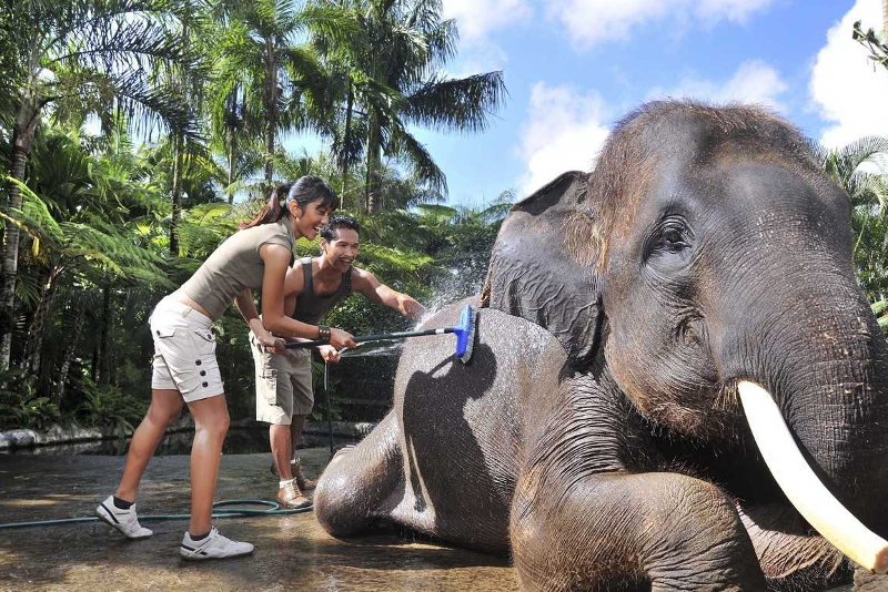 Bath & breakfast with elephants - Fun things to do in Bali
