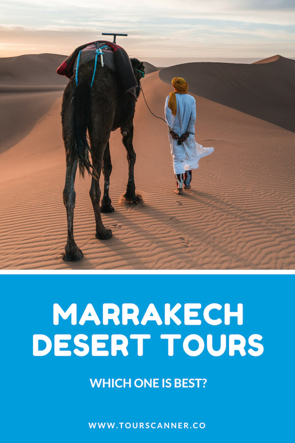 excursions à dos de chameau à Marrakech Pinterest