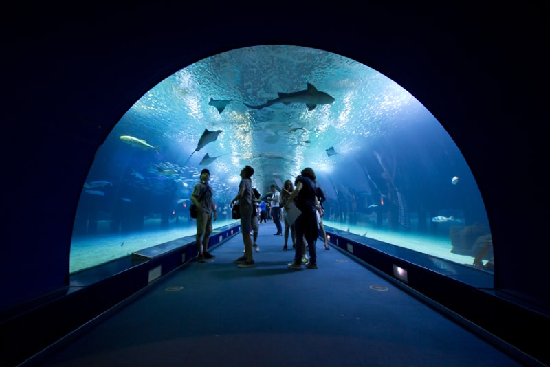 Oceanografic Valencia Aquarium