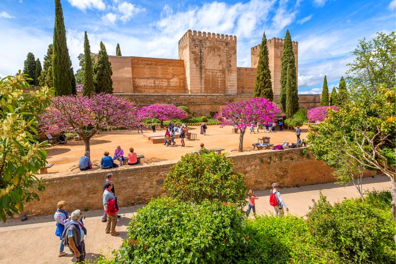 Alhambra Tours – Which One Is Best? - TourScanner