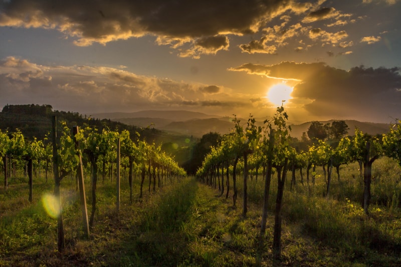 Tour del Chianti in Toscana - tour degustazione vini Toscana