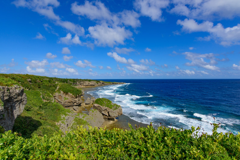 Jogashima excursion depuis Tokyo