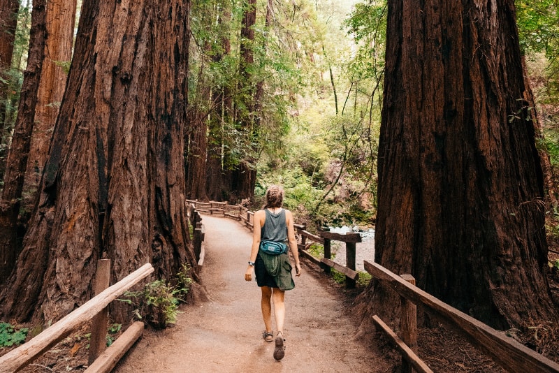 muir woods tours & adventures