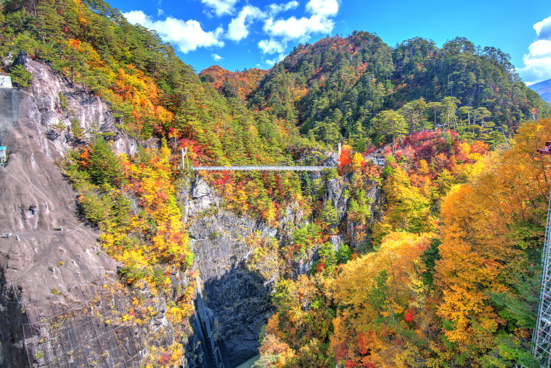 Nikko National Park excursion depuis Tokyo