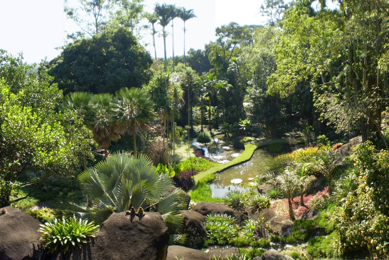 Risultato immagini per giardino botanico rio de janeiro