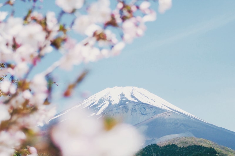Mount Fuji Tours