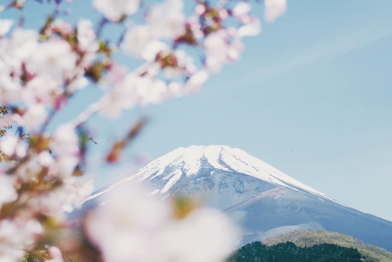 Mount Fuji Tours From Tokyo Complete Guide Tourscanner