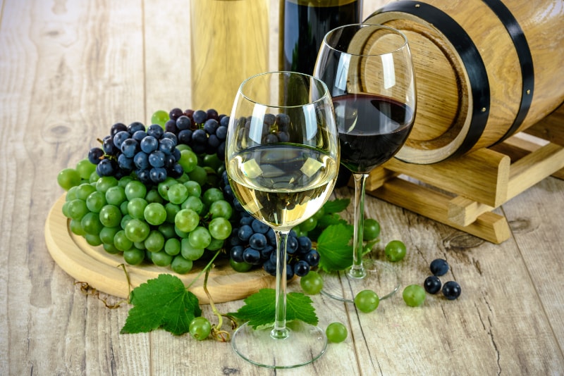 Verkostung der toskanischen Weine