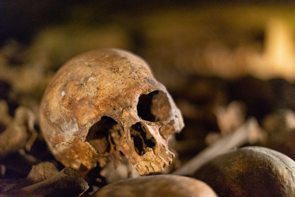 visit the Paris Catacombs for free