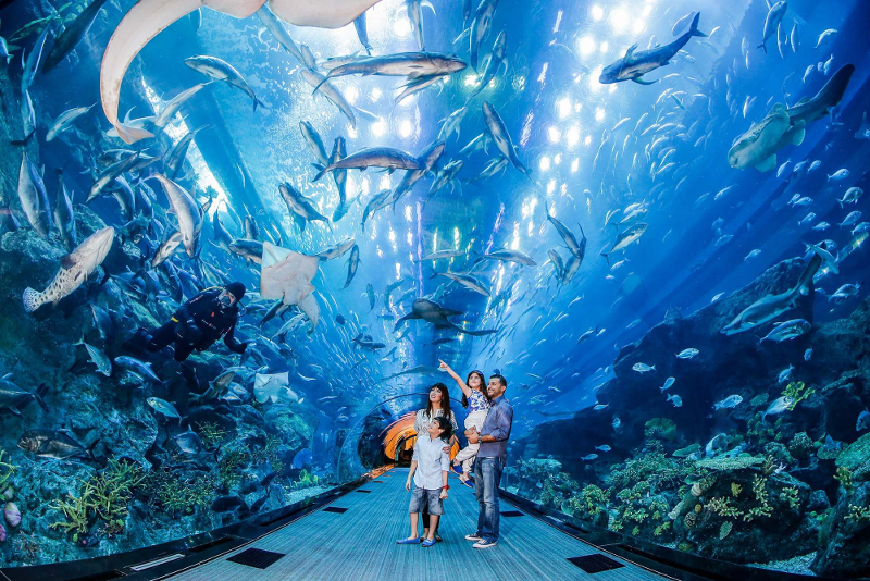 Acquario di Dubai e Zoo subacqueo - parchi a tema Dubai