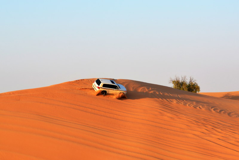 safari desert doha