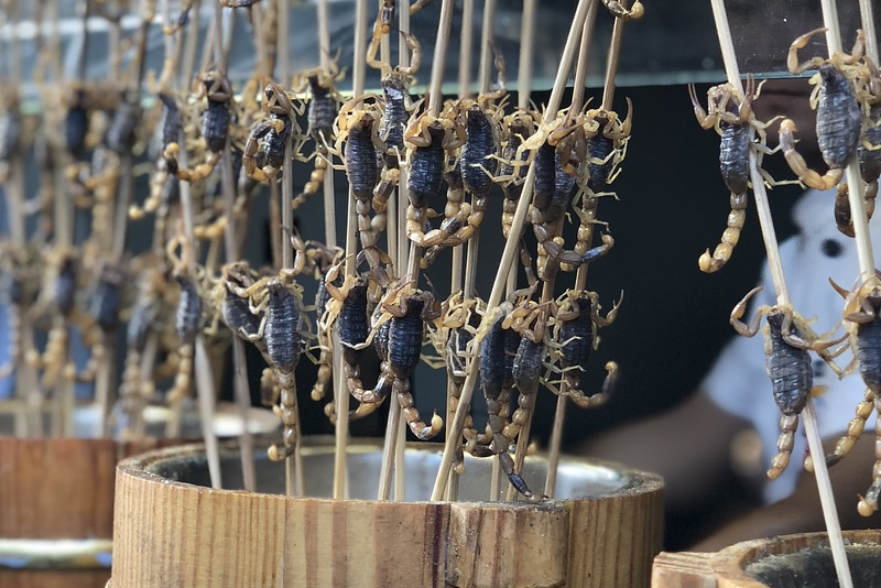 Insects as food - things to do in Shanghai