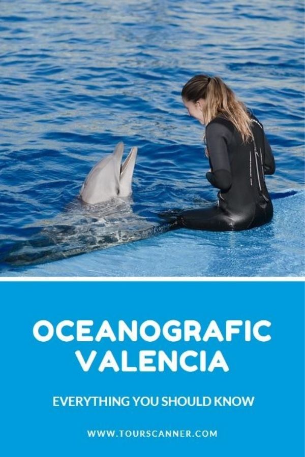 Oceanografic Valencia Pinterest