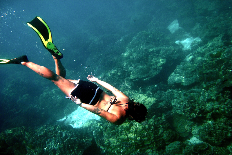 Snorkeling - Things To Do In Phuket