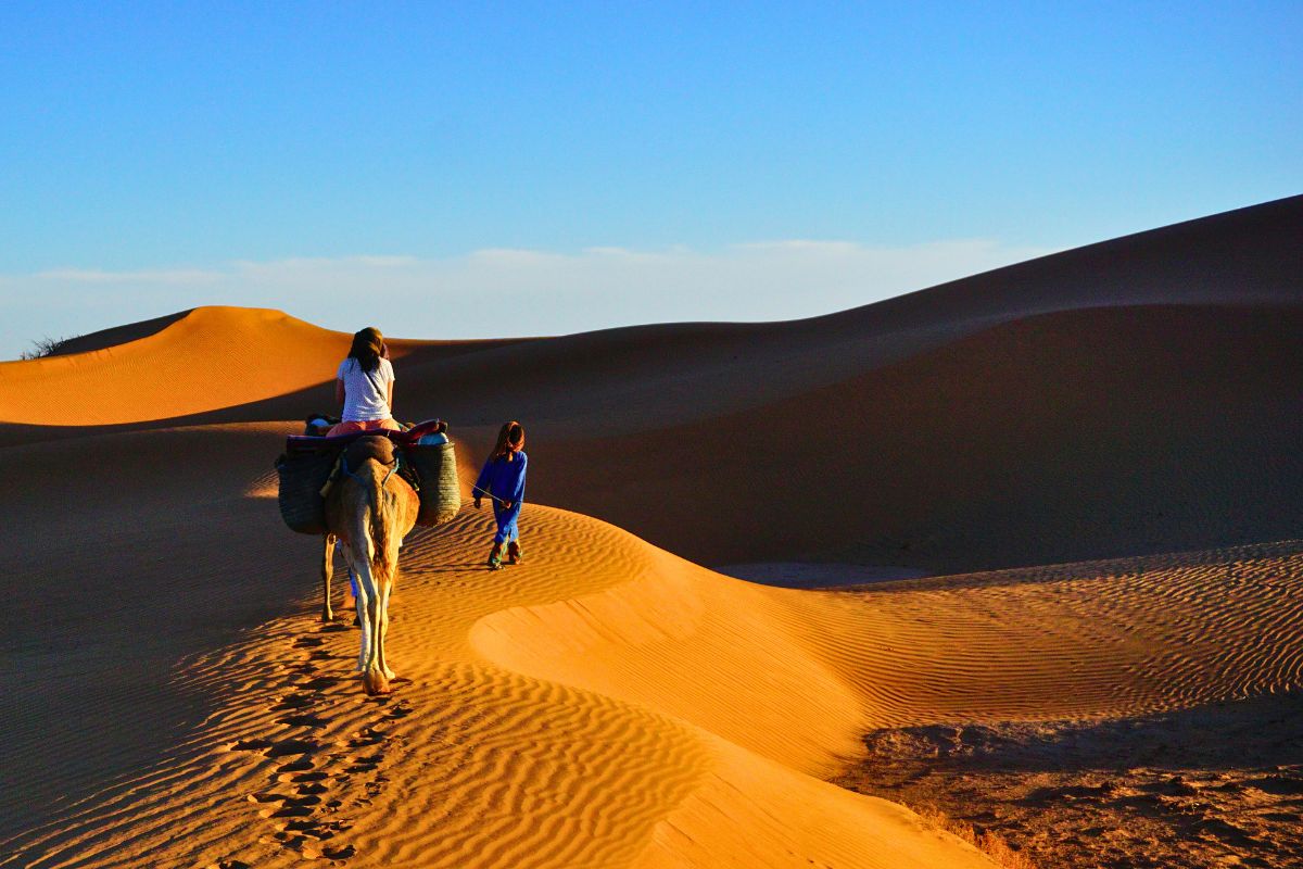 Zagora Desert Multi-day Trips - Marrakesh