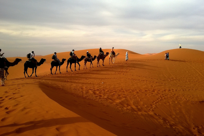 Safari nel deserto -  Scalo aeroporto di Doha