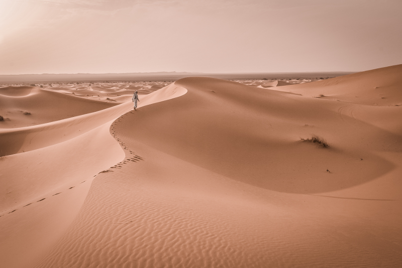 luxury desert safari qatar