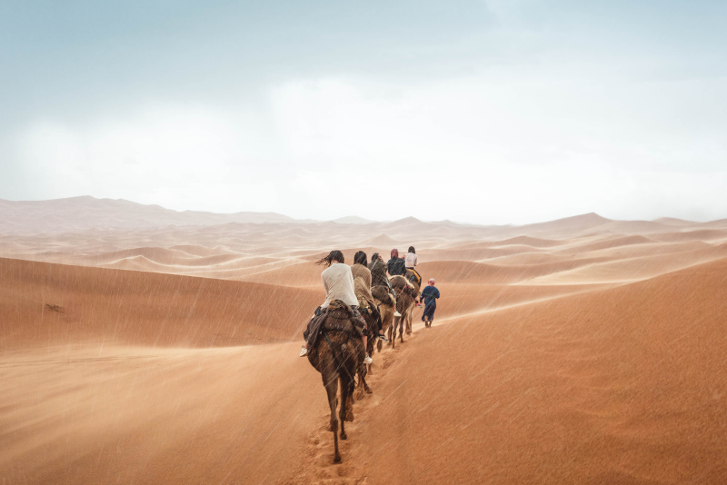 tour desert doha