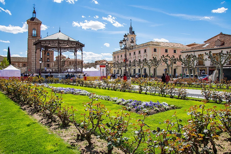 Alcalá de Henares - Day Trips from Madrid