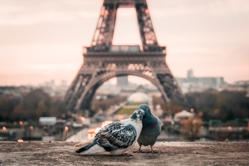 Wie bucht man Eiffelturm-Touren in Paris?